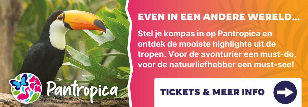 Banner-pantropica