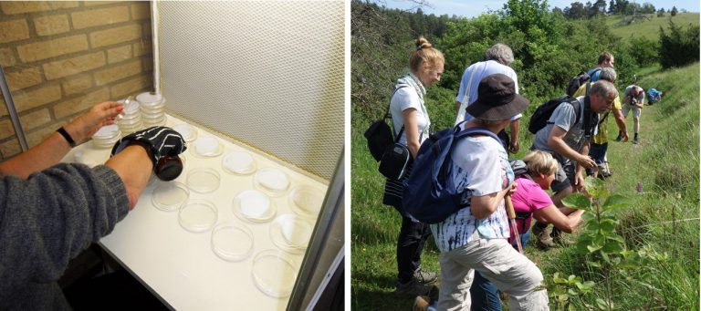 Leden van de werkgroep Thuis en in het veld